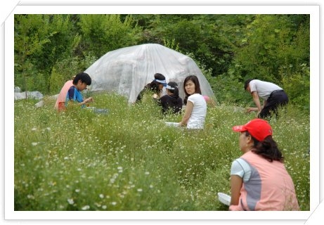 2007/6/23 봉사활동 - 활동사진